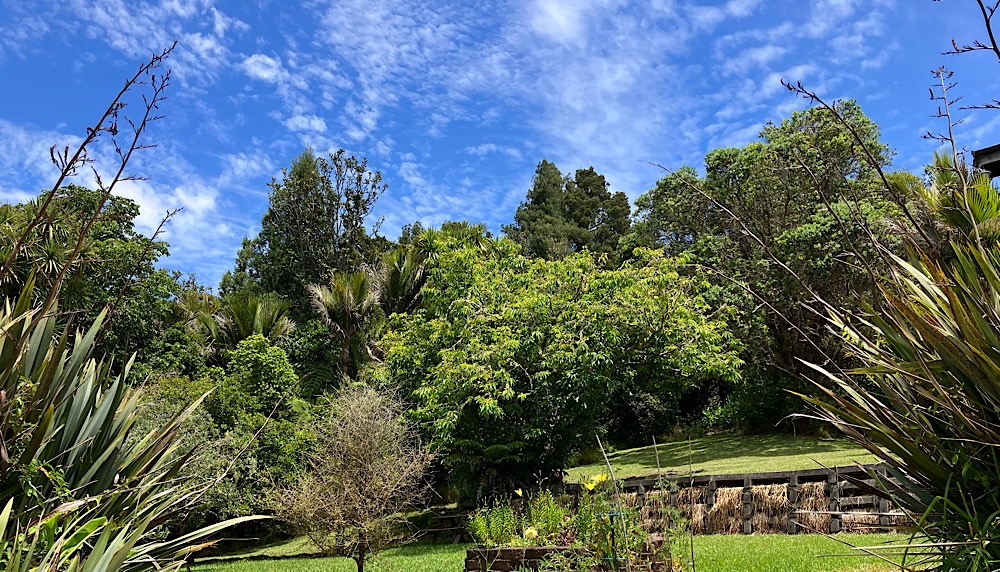 Tai Chi & Meditation Class in Laingholm, West Auckland